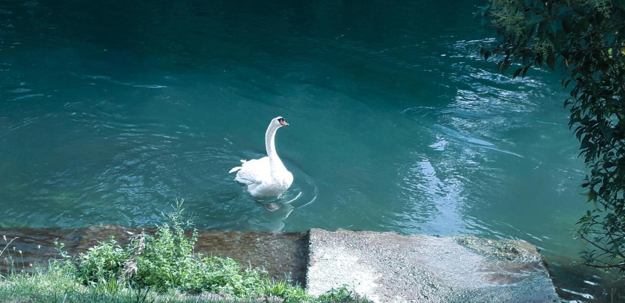 Ampio Appartamento Vicino Al Centro Di Treviso, Parcheggio Gratuito Kültér fotó